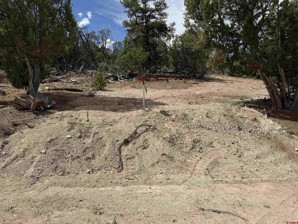 38 Black Bear Trail Crawford, CO 81415
