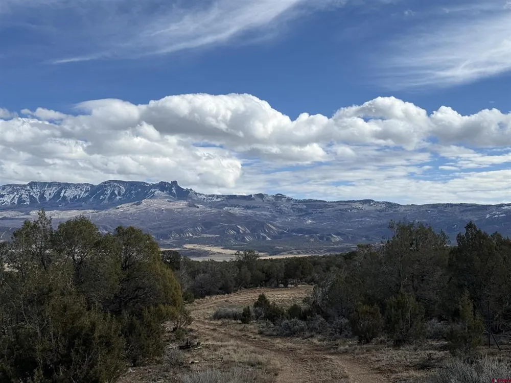 38 Black Bear Trail Crawford, CO 81415