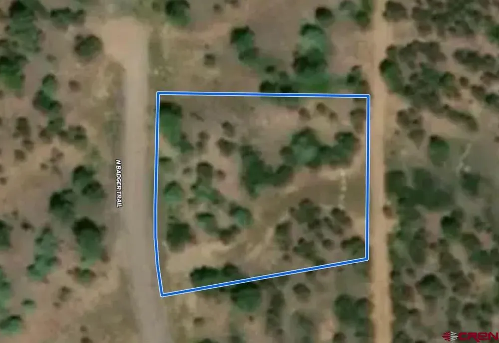 533 Badger Trail Ridgway, CO 81432