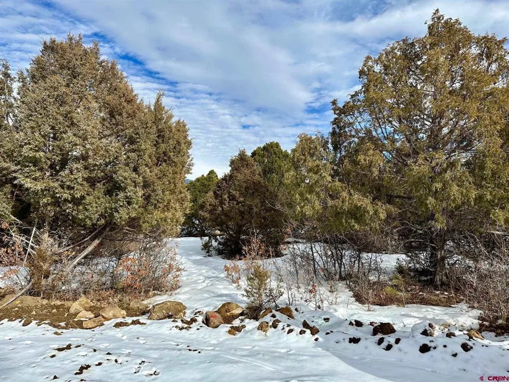 533 Badger Trail Ridgway, CO 81432