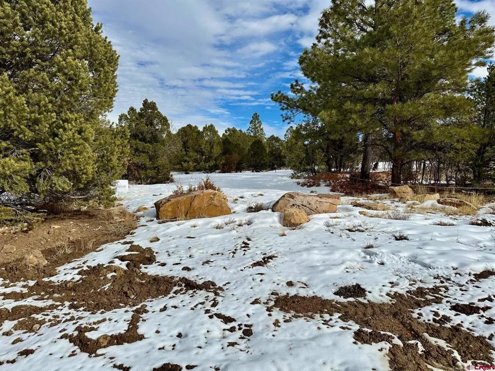 533 Badger Trail Ridgway, CO 81432