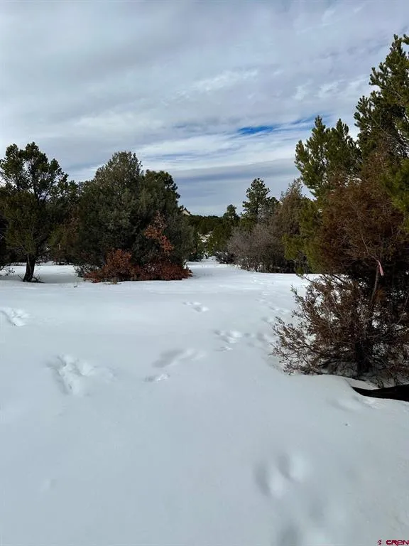 533 Badger Trail Ridgway, CO 81432