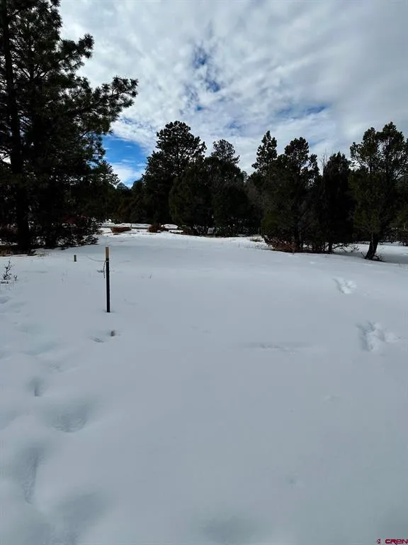533 Badger Trail Ridgway, CO 81432