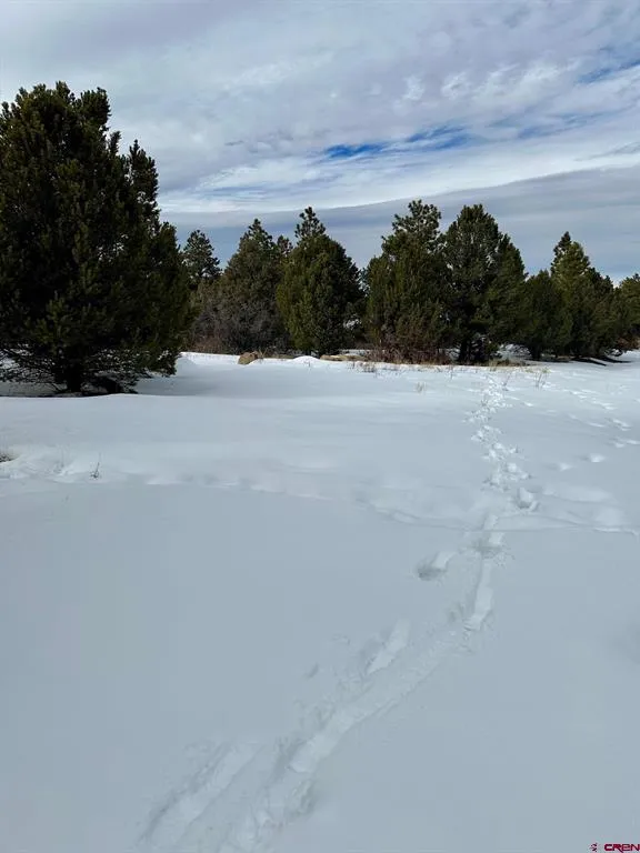 533 Badger Trail Ridgway, CO 81432