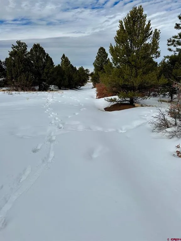 533 Badger Trail Ridgway, CO 81432