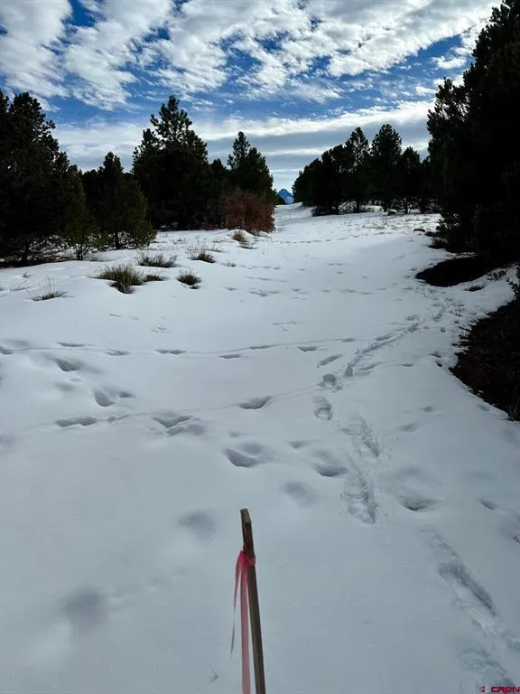 533 Badger Trail Ridgway, CO 81432