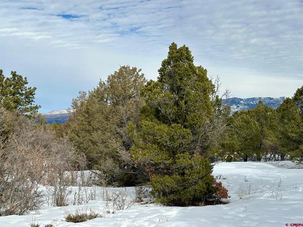 533 Badger Trail Ridgway, CO 81432
