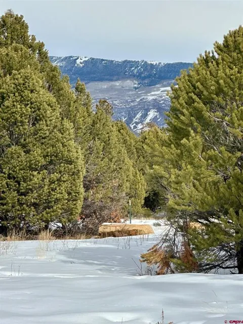 533 Badger Trail