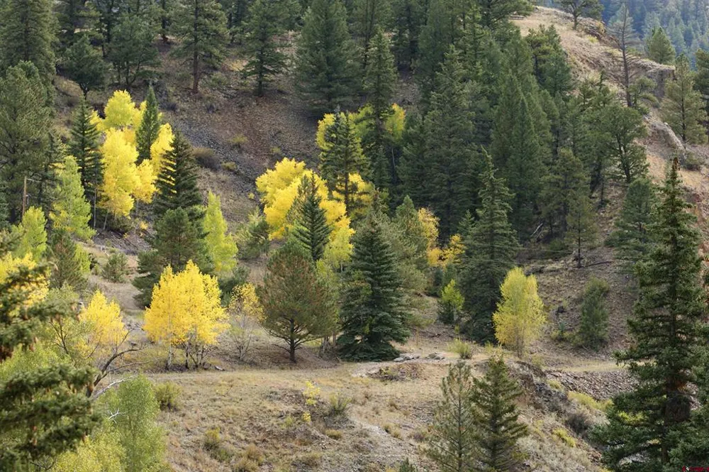 1426 Slumgullion Road Lake City, CO 81235