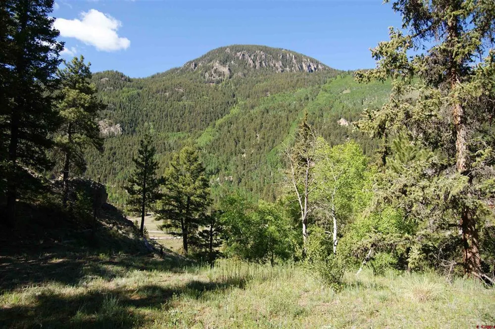 1426 Slumgullion Road Lake City, CO 81235