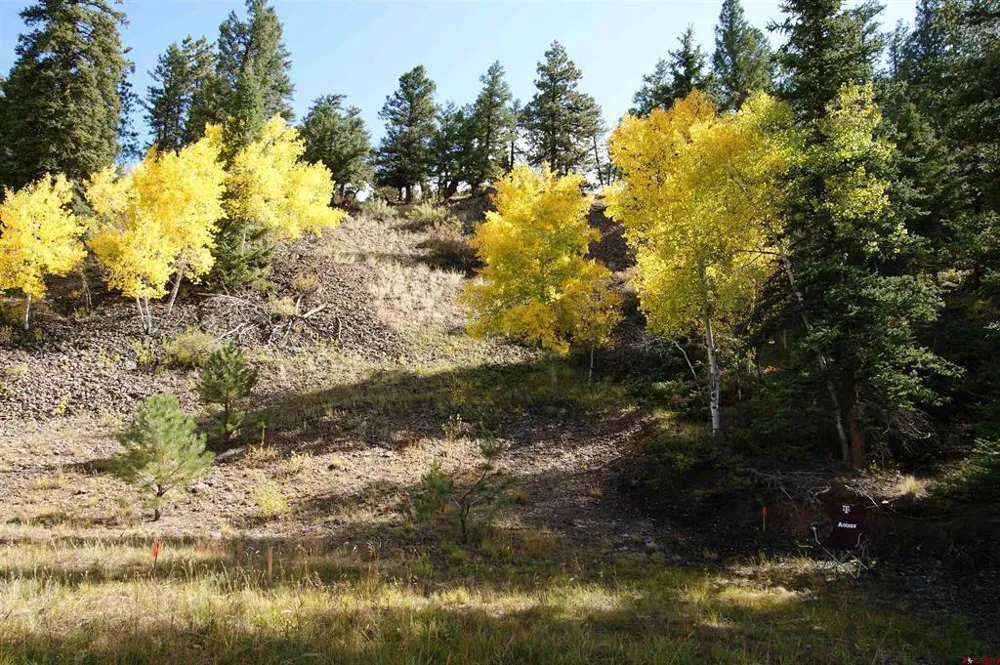 1426 Slumgullion Road Lake City, CO 81235