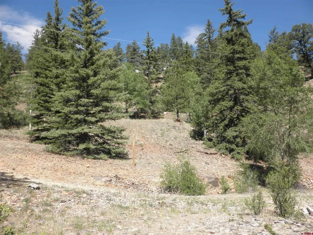 1426 Slumgullion Road Lake City, CO 81235