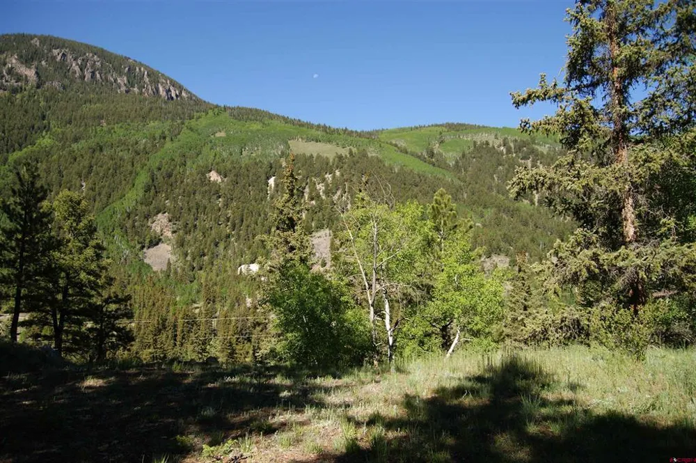 1426 Slumgullion Road Lake City, CO 81235