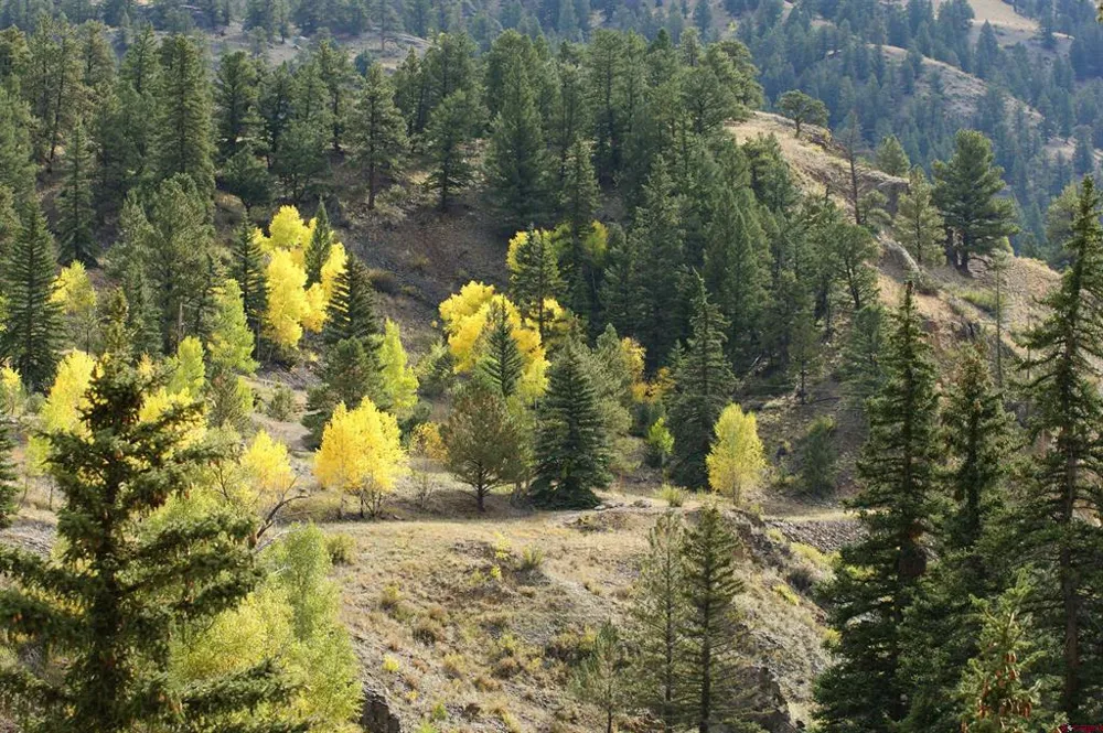 1426 Slumgullion Road Lake City, CO 81235