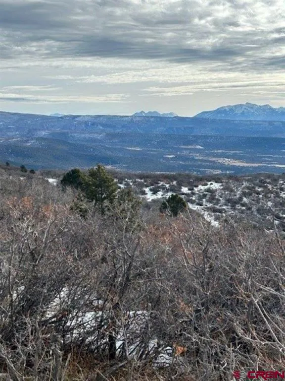 13 West Elk View Cedaredge, CO 81413