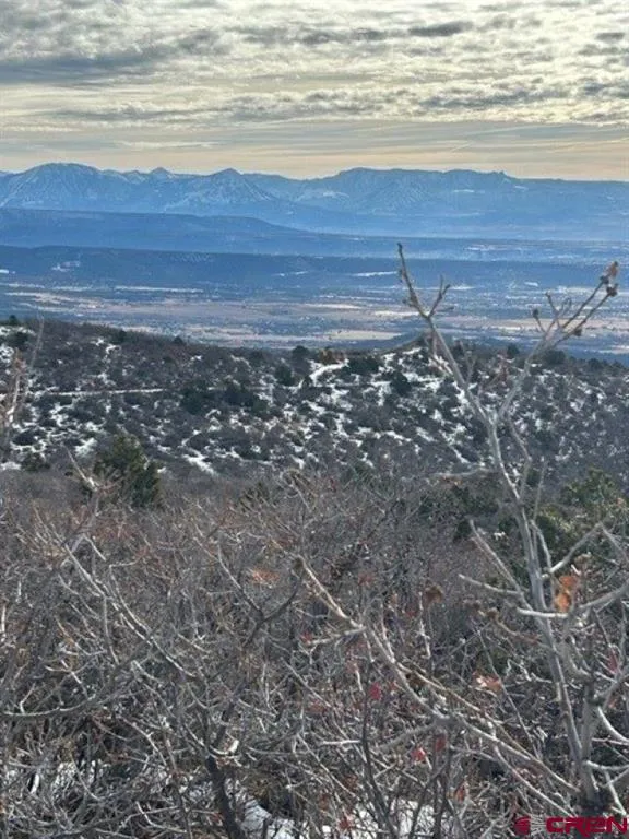 13 West Elk View Cedaredge, CO 81413