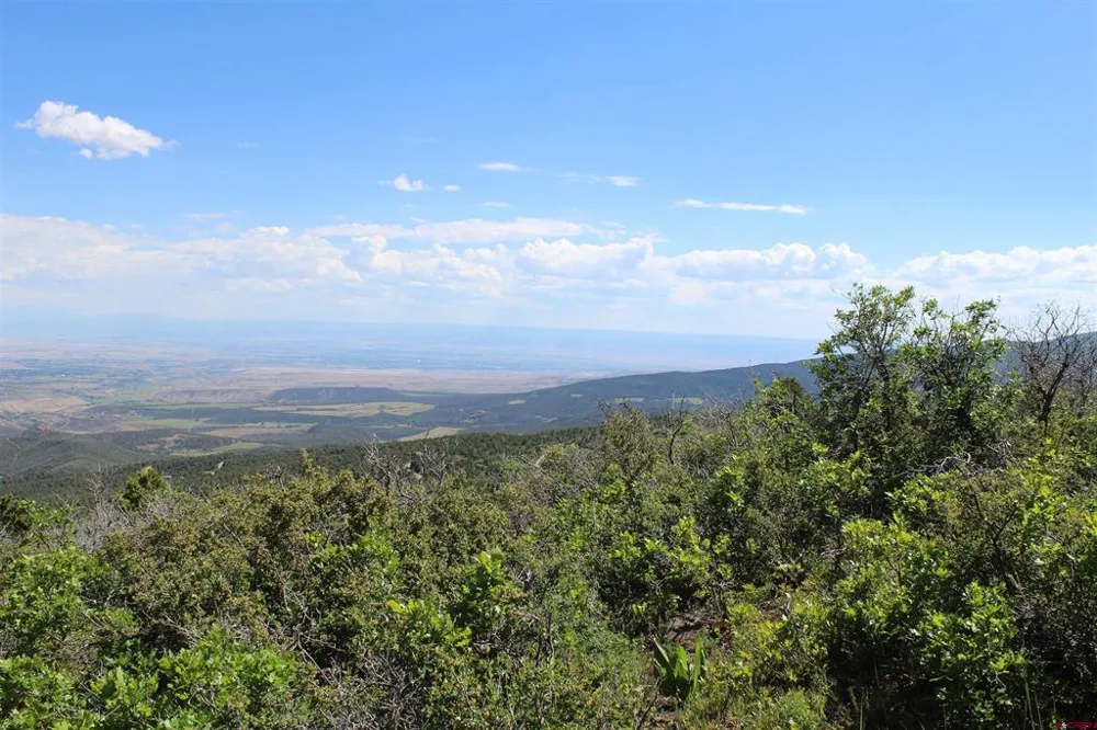 13 West Elk View Cedaredge, CO 81413