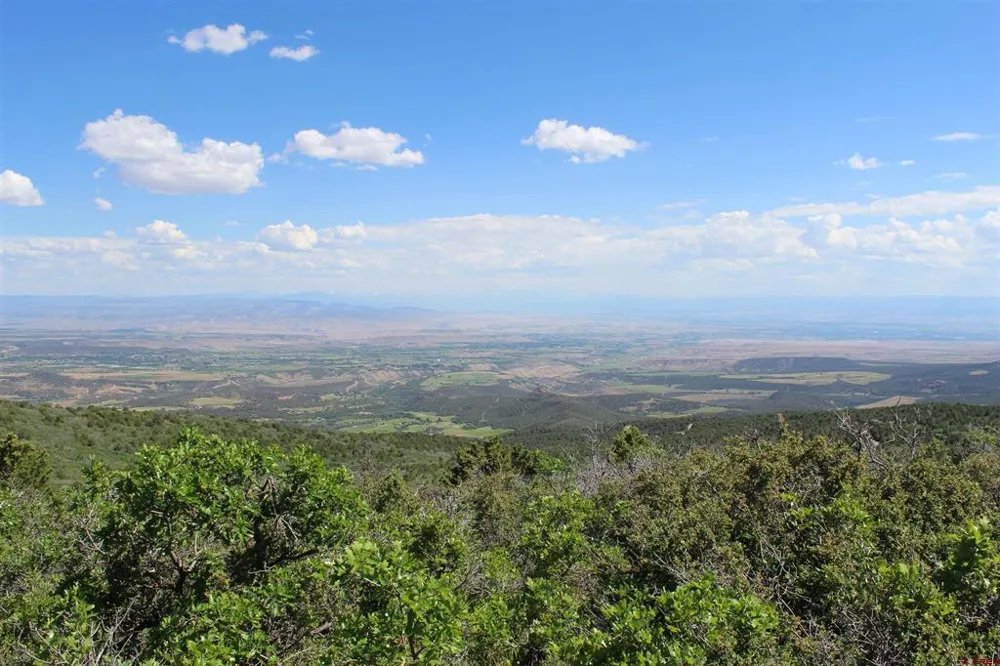 13 West Elk View Cedaredge, CO 81413
