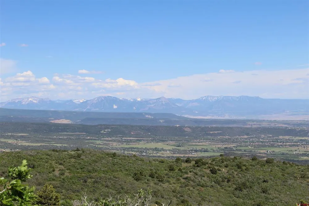 13 West Elk View Cedaredge, CO 81413