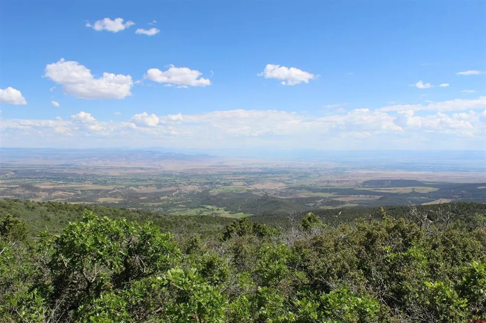 13 West Elk View Cedaredge, CO 81413