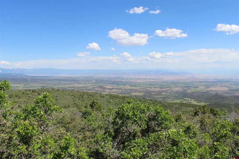 13 West Elk View Cedaredge, CO 81413