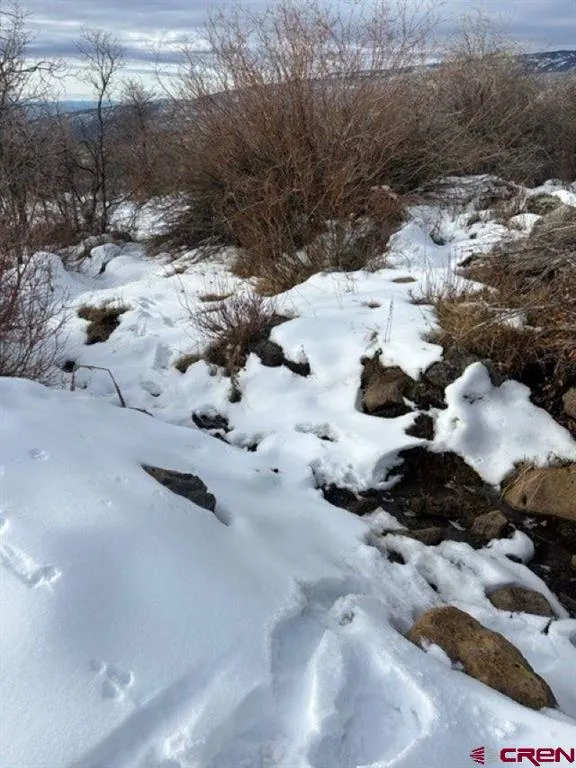 13 West Elk View Cedaredge, CO 81413
