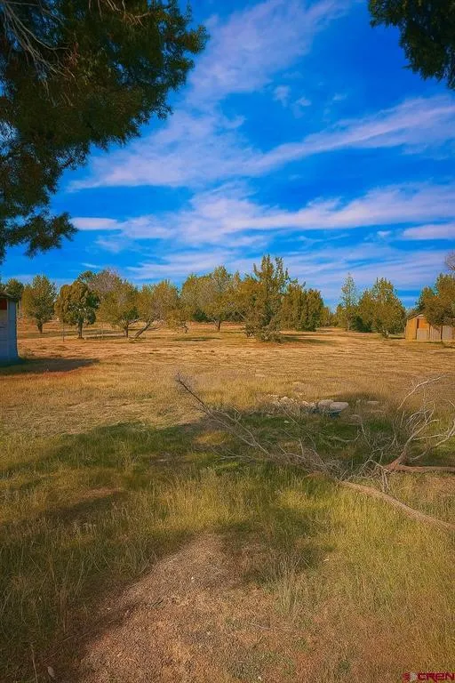 21769 Road V Lewis, CO 81327