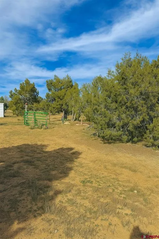 21769 Road V Lewis, CO 81327