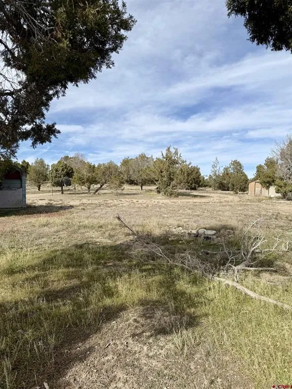 21769 Road V Lewis, CO 81327