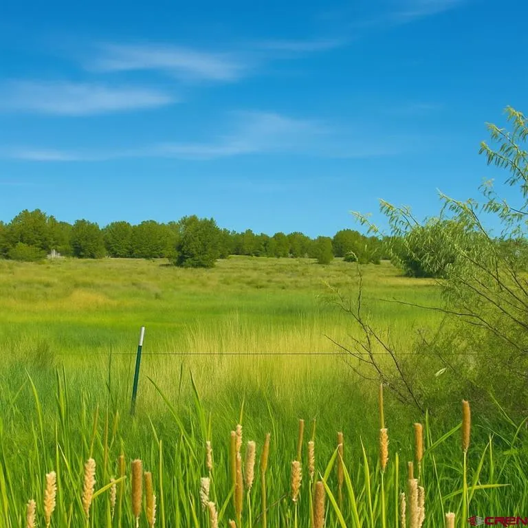 21769 Road V Lewis, CO 81327