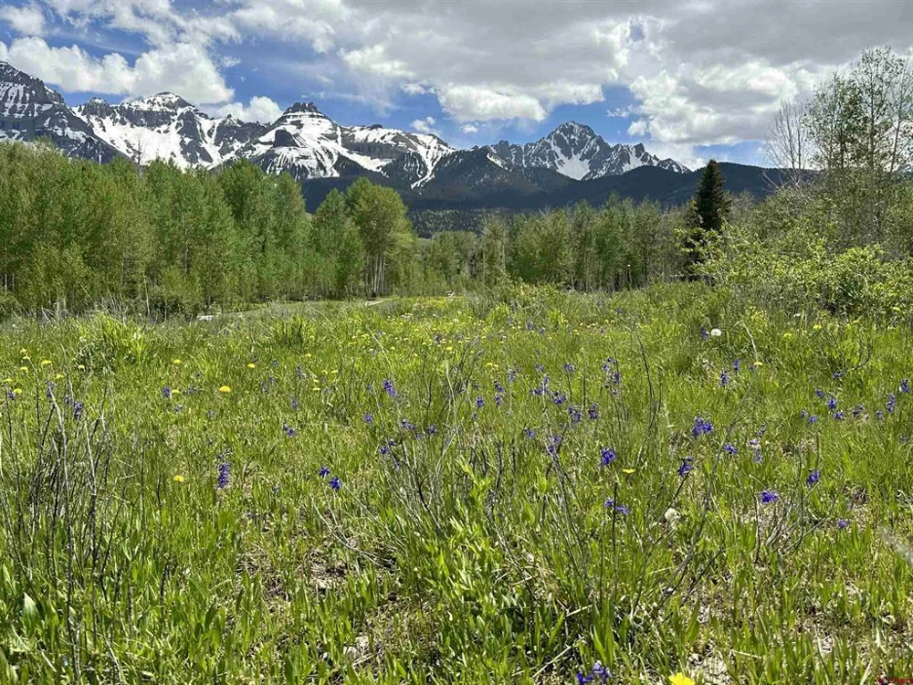 13 County Road 5 Ridgway, CO 81432