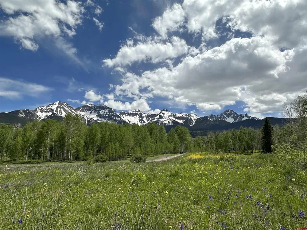 13 County Road 5 Ridgway, CO 81432