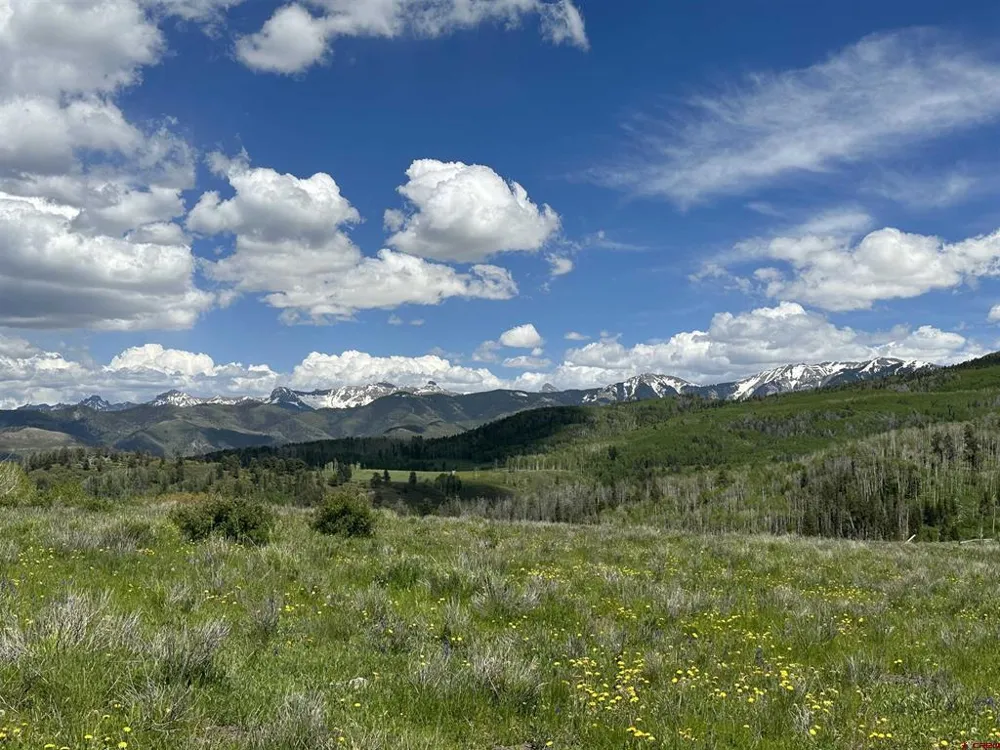 13 County Road 5 Ridgway, CO 81432