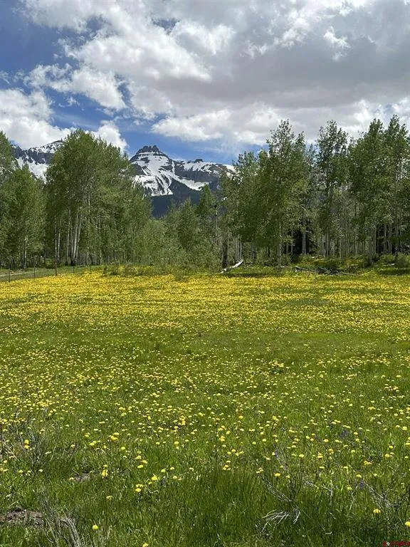 13 County Road 5 Ridgway, CO 81432