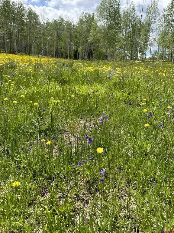 13 County Road 5 Ridgway, CO 81432