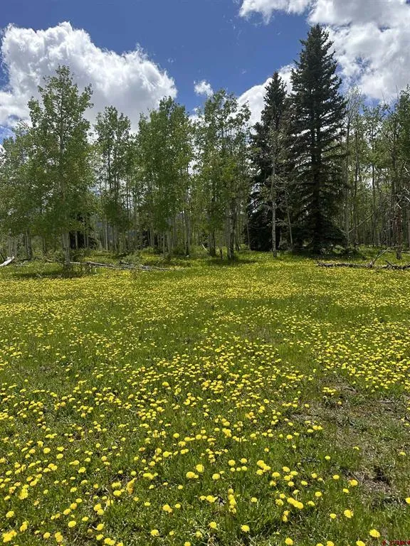 13 County Road 5 Ridgway, CO 81432