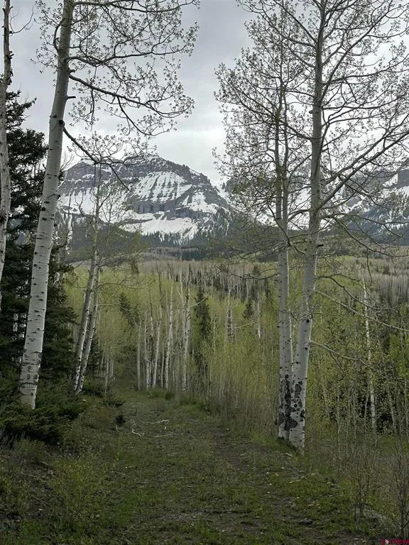 13 County Road 5 Ridgway, CO 81432