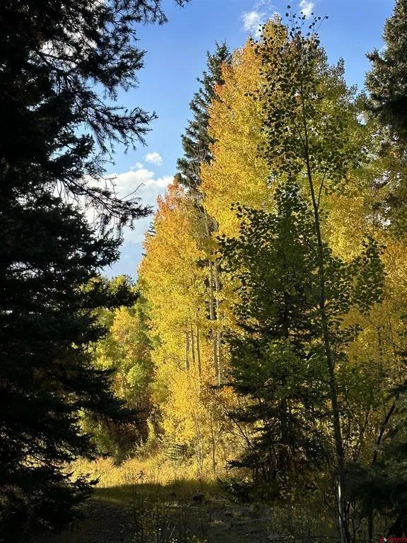 13 County Road 5 Ridgway, CO 81432