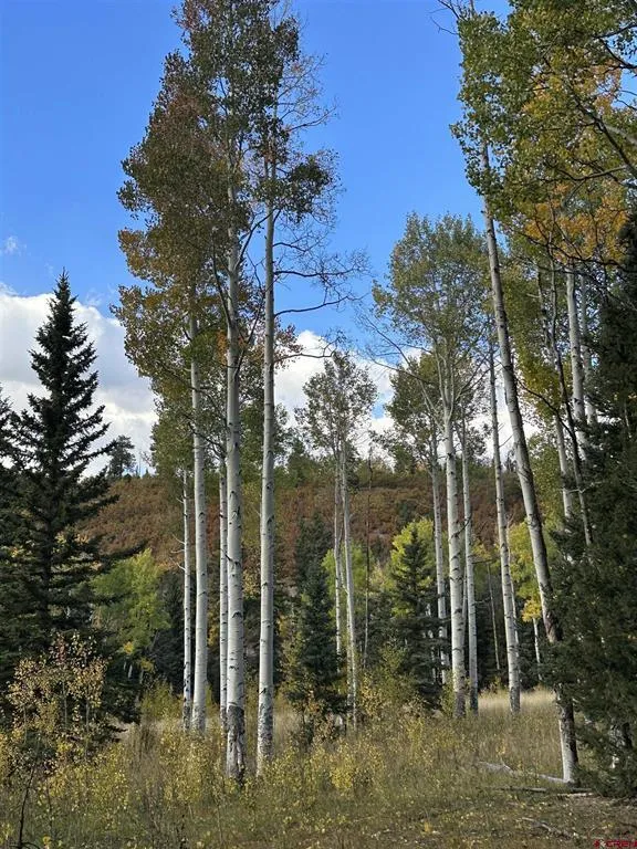13 County Road 5 Ridgway, CO 81432