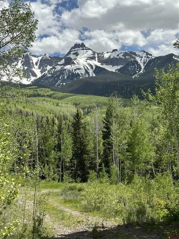 13 County Road 5 Ridgway, CO 81432