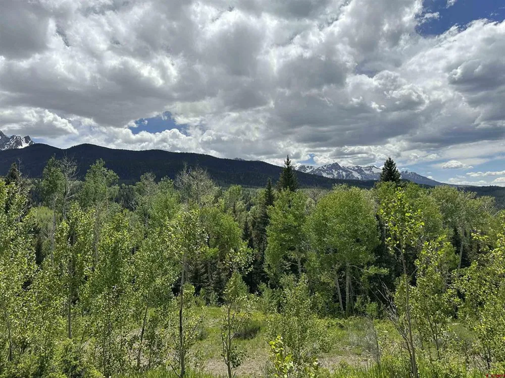 13 County Road 5 Ridgway, CO 81432
