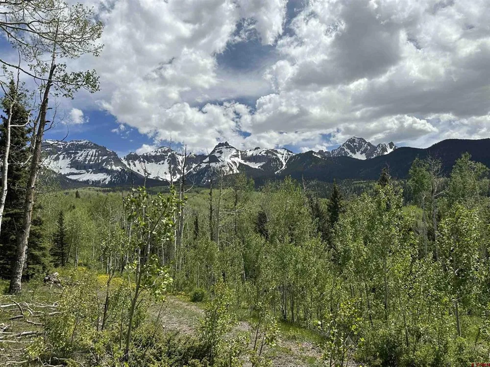 13 County Road 5 Ridgway, CO 81432