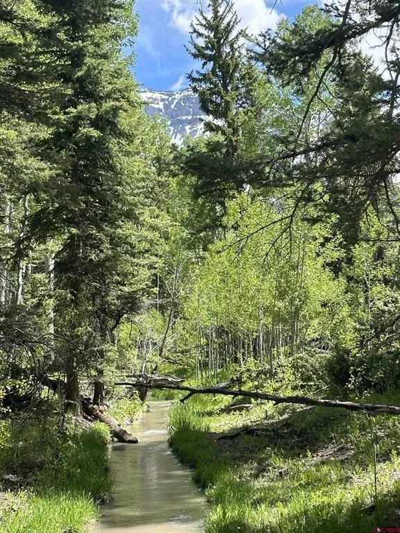 13 County Road 5 Ridgway, CO 81432