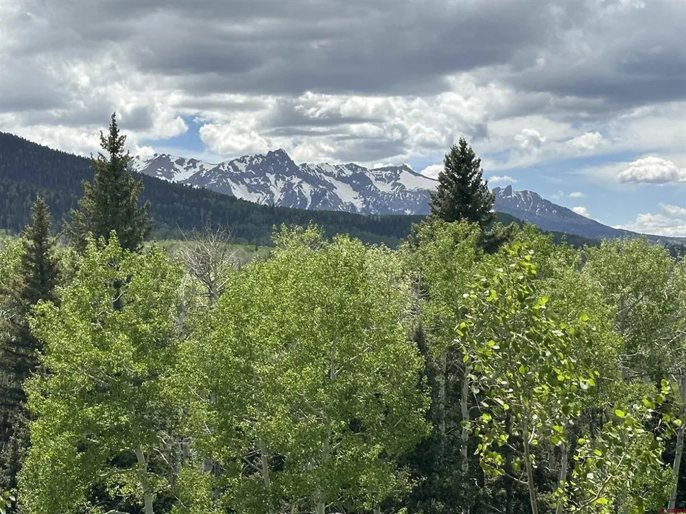 13 County Road 5 Ridgway, CO 81432