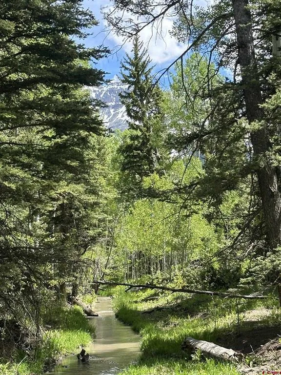 13 County Road 5 Ridgway, CO 81432
