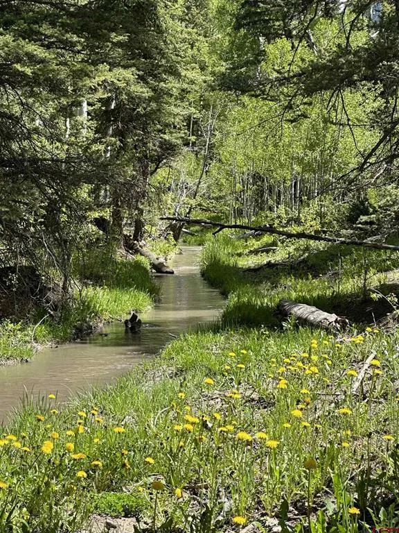 13 County Road 5 Ridgway, CO 81432