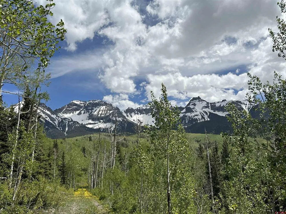 13 County Road 5 Ridgway, CO 81432