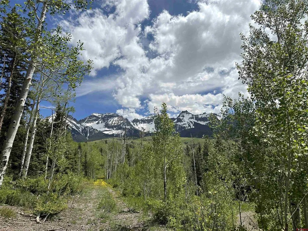 13 County Road 5 Ridgway, CO 81432
