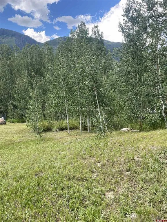 117 Garfield Rico, CO 81332