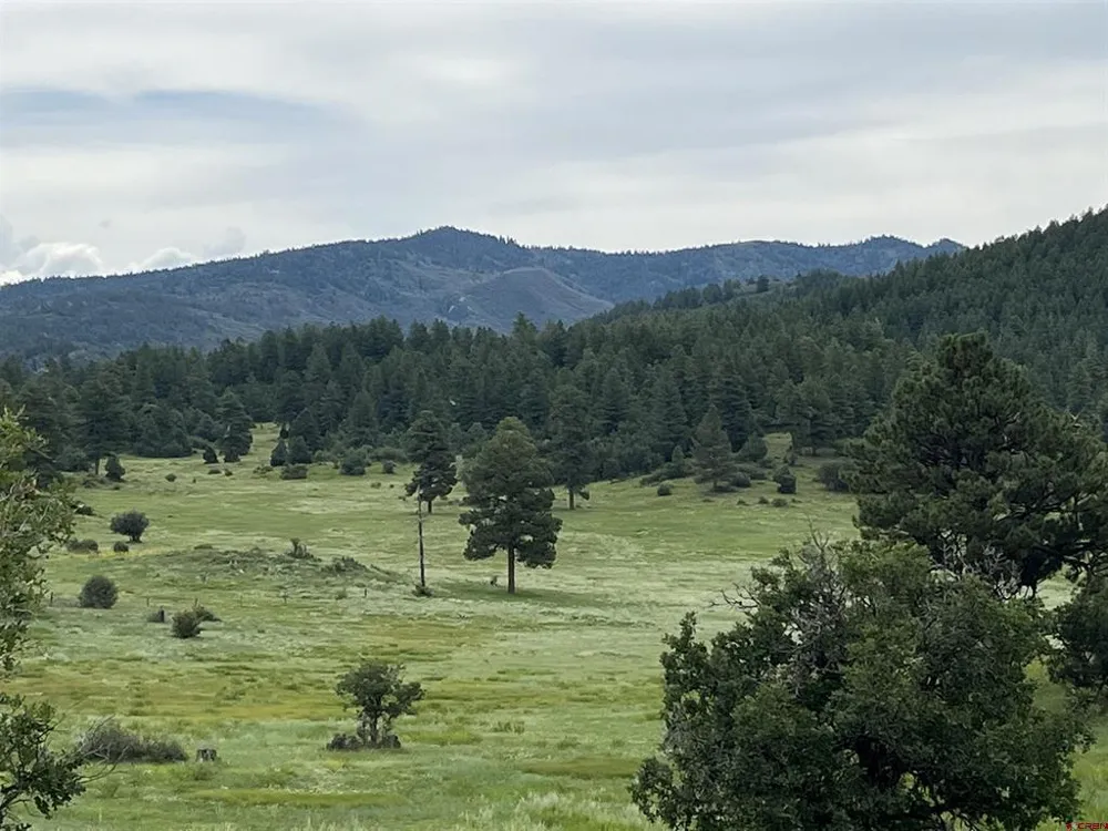 1240 Crowley Drive Chromo, CO 81128